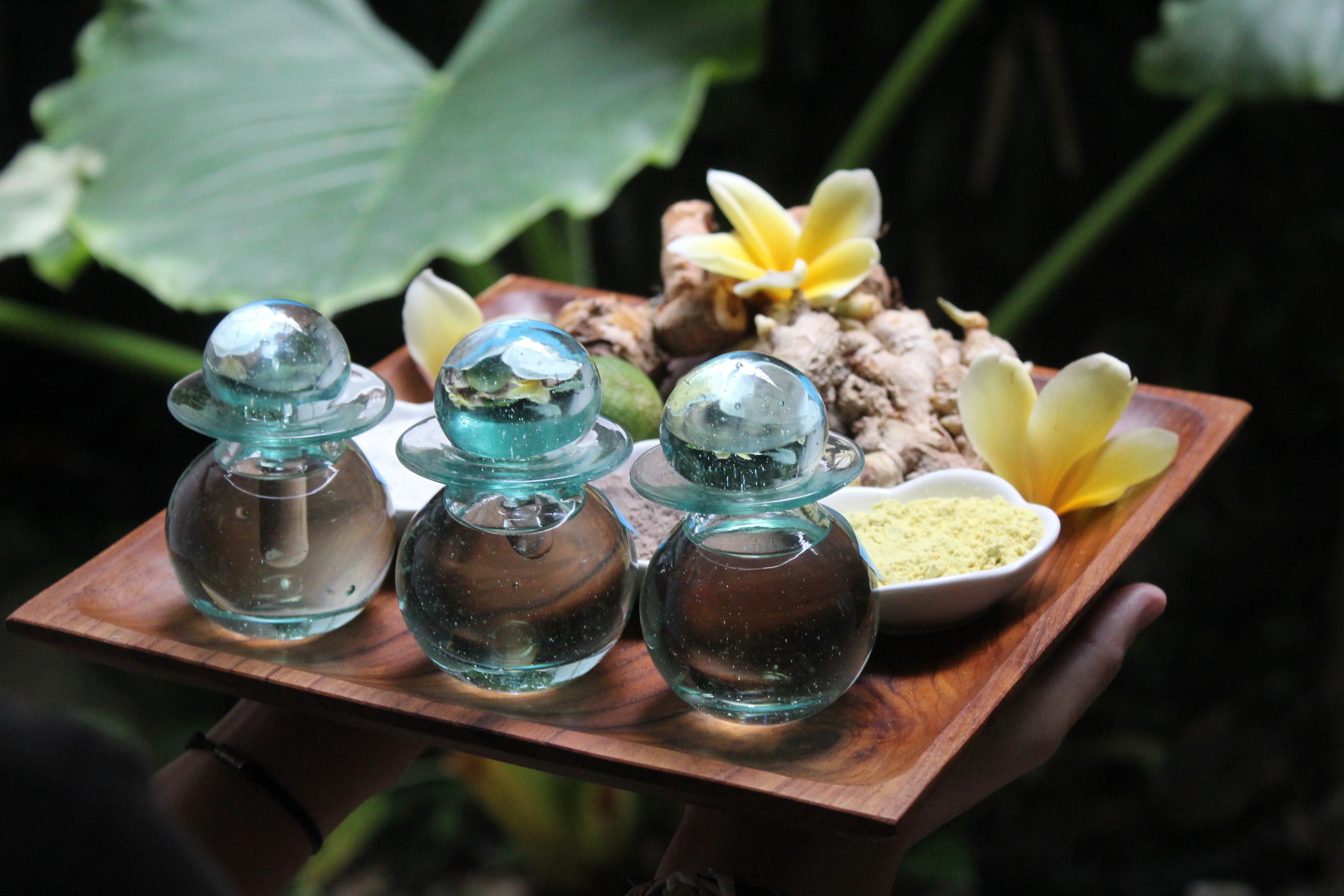 A Sanctuary of Relaxation Awaits